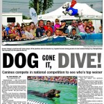 doggone_it_dive_forrest_gumpy